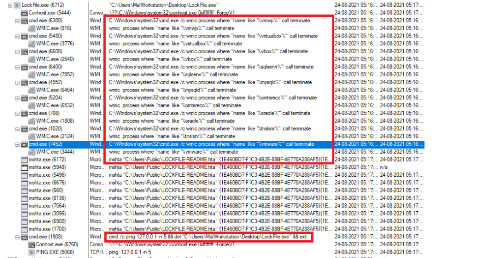 Details of malware execution